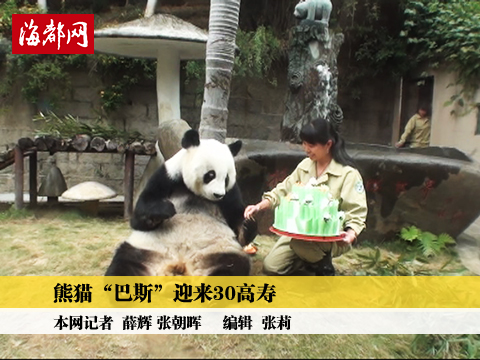 熊猫“巴斯”迎来30高寿