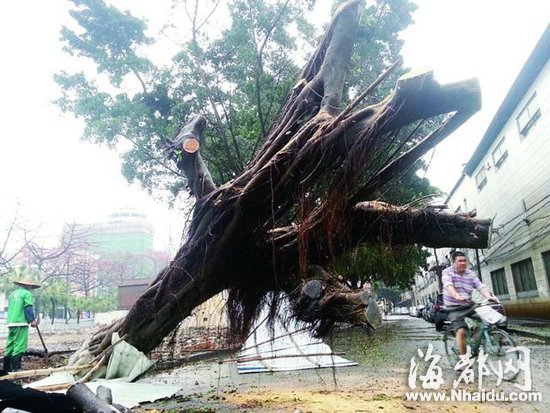 广东多地遭暴雨冰雹袭击 143县市发布预警