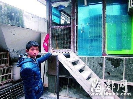 男子盗窃价值上万元信鸽当肉鸽卖 每只售15元