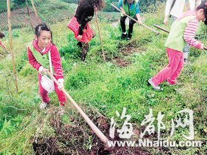 女儿写作文不知桃花长啥样 妈妈包下一座山让其体验