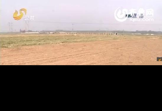山东村庄400亩地被征建厂 村民麦子遭强推