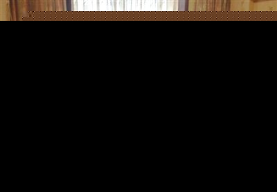 双独夫妻身亡 两对失独父母为争冷冻胚胎对簿公堂