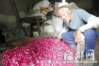 9旬老翁靠卖玫瑰养活8孩子 后山6亩地种满花