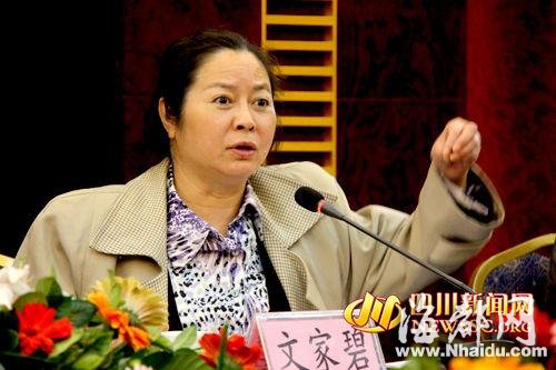 四川红十字会原巡视员文家碧被移送司法机关