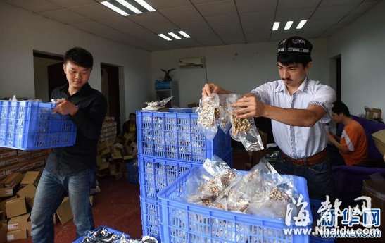 维族汉族大学生合伙卖切糕 日销售额超10万