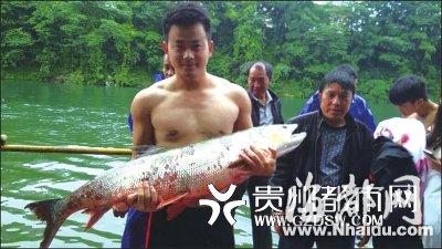 贵州：龙舟赛队员热身时一船桨拍晕40斤大鱼(图)