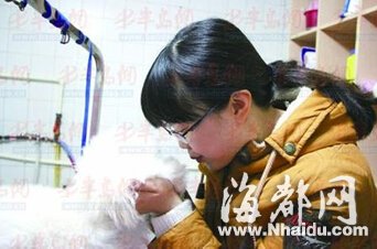 女主人欲出远门与爱犬吻别 被咬掉下嘴唇