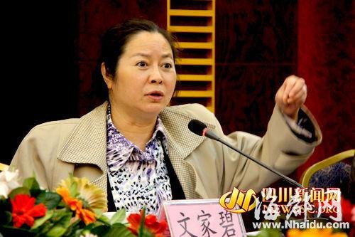 四川红会原常务副会长文家碧涉贿被立案侦查