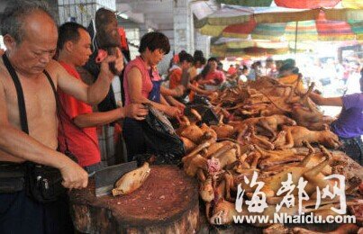玉林官方退出主办狗肉节 当街宰狗已被禁止