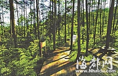 贵州：上万亩森林公园被违禁改建为高尔夫球场