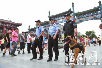 北京650余只警犬街头巡逻 听指令指哪儿咬哪儿
