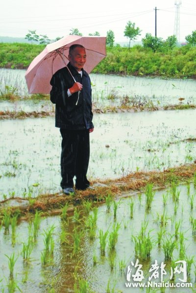 武汉：村官任职42年年薪最高300元 请辞被村民驳回