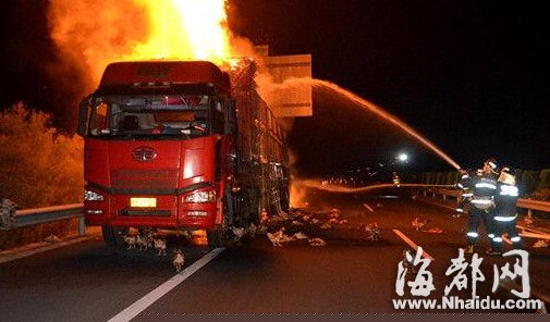 货车高速路上轮胎起火 数千活鸡变“烤鸡”