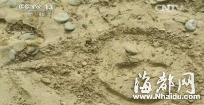 新疆皮山村民擒获3名暴恐分子 用计让暴徒摘下炸弹