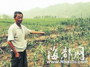 河北：六旬村民半夜被狼袭击 搏斗20分钟将其打死