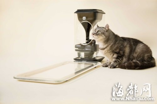 这才是真爱！台湾猫奴设计的智能喂猫装置