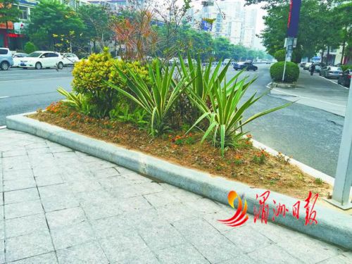 东园路分流岛改造提升前