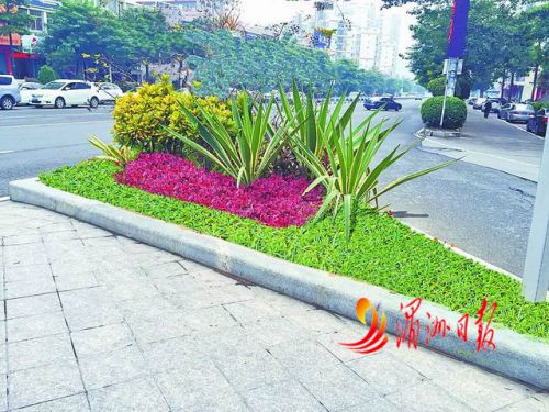 东园路分流岛改造提升后设计图