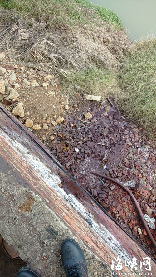 重金属超标的废水通过外排口直排沙溪河