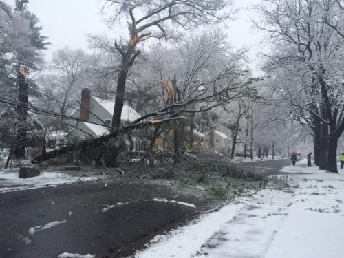 强风降雪天气袭美超31万民众断电 至少2人死亡