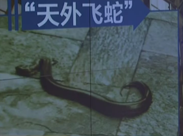 广州海珠区：五条蛇从天而降 吓坏小区业主