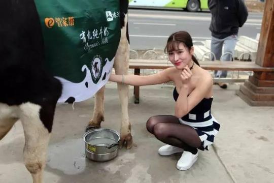 对于此次“美女挤奶”行为，现场市民褒贬不一，有的市民觉得，挤奶活动能让城市人感觉到农村的乐趣，能让孩子们真实的看到奶牛产奶的过程；