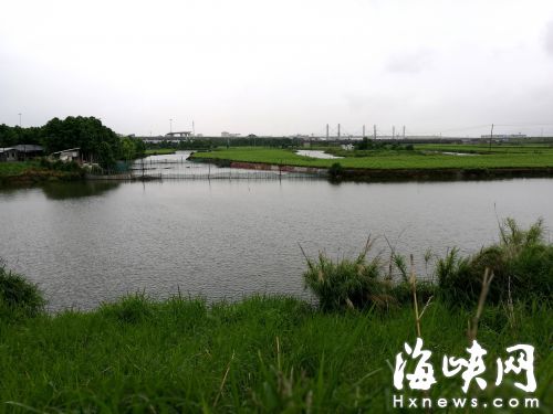 湿地本是鸟儿良好的栖息地，捕鸟网却破坏了这个生态和谐