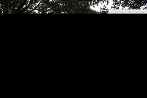 新南公园的湖景