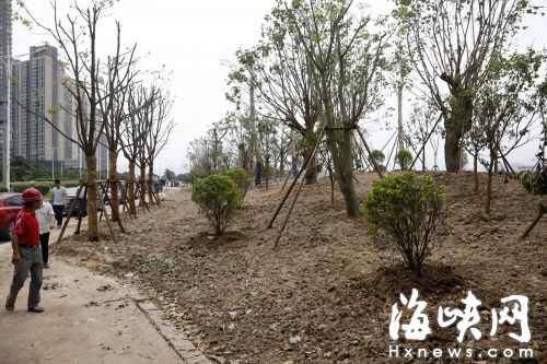 福州环南台岛休闲路 将现“城市森林” 