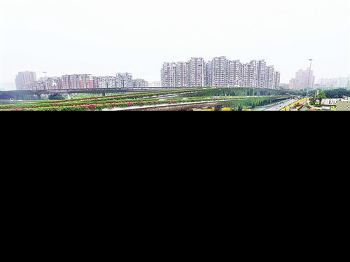 尤溪洲环岛拆除后 四方向各有6车道进路口