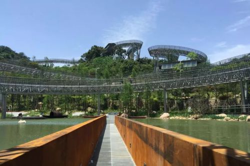 水中福道、江心公园花展 福州的五月要美哭了