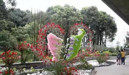 水中福道、江心公园花展 福州的五月要美哭了