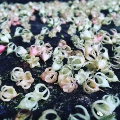 水中福道、江心公园花展 福州的五月要美哭了（2）