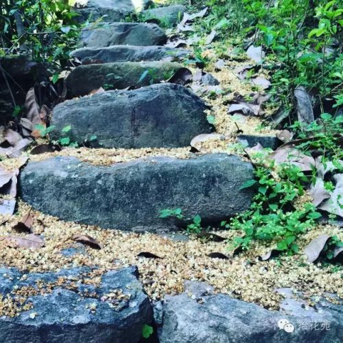 水中福道、江心公园花展 福州的五月要美哭了（2）