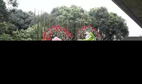 水中福道、江心公园花展 福州的五月要美哭了