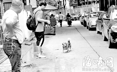 恶狗频咬人 福州疾控中心半天64人打狂犬疫苗