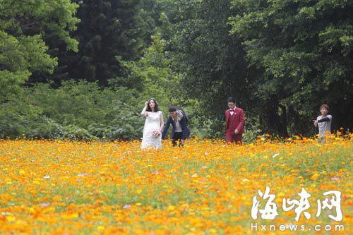 福州南江滨公园 新娘撩动裙摆毁掉一片花海
