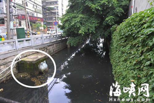 福州树兜河现400米黑水带 部门：主要是清淤引起