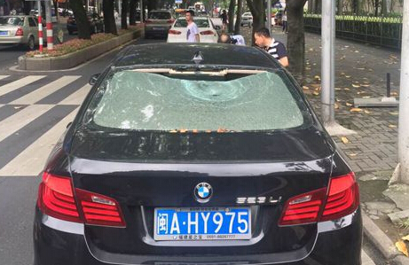 天降树枝砸中行驶中宝马车 挡风玻璃被砸坏