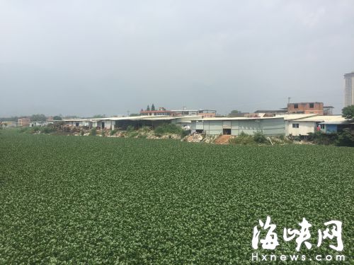 门前小河成“臭沟” 部门：将制定治理方案