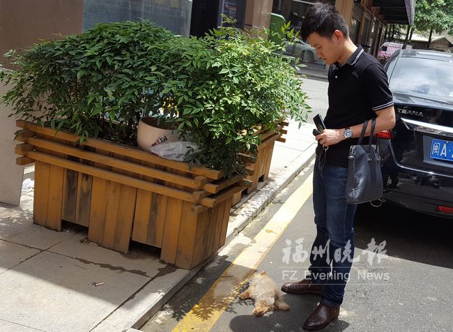 刚买小狗发病送医 宠物店提前发出“死亡通知”