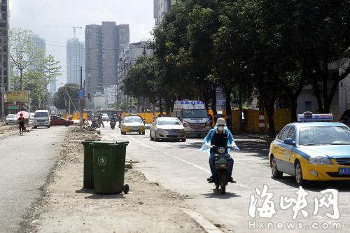 福州群众路芒果树 因安全和占道问题放弃平移