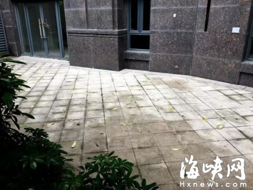 小孩就掉在楼下这个水泥地面