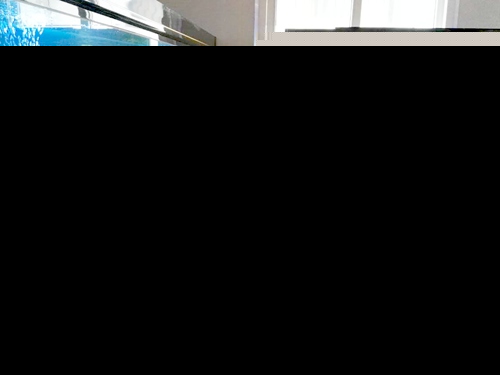福州小学生参加闽江增殖放流体验 提升海洋意识