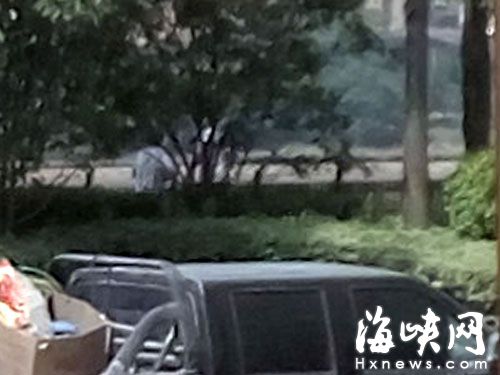 福州南江滨神秘男女树下弃婴 包裹内有300元