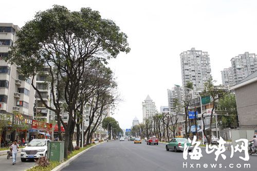 福州长乐中路实现双向6车道 为保行道树设绿化分车带