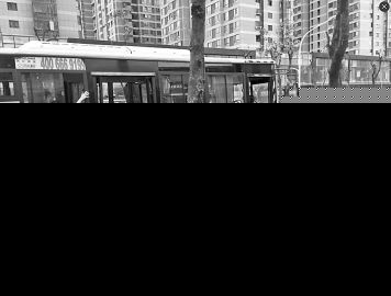 公交车讲堂前站不进站 乘客上下车踩踏绿化带