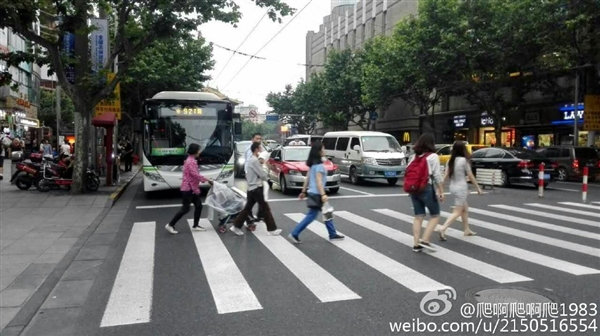 无信号灯路口 上海一公交礼让行人1分钟被狂赞