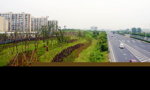 南京不少道路边，都规划了宽阔的绿化带，有坡度的绿化展现出丰富的景观（资料图） &nbsp;