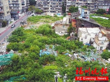 达明小学重建迟迟不见动静 教育局：下半年施工
